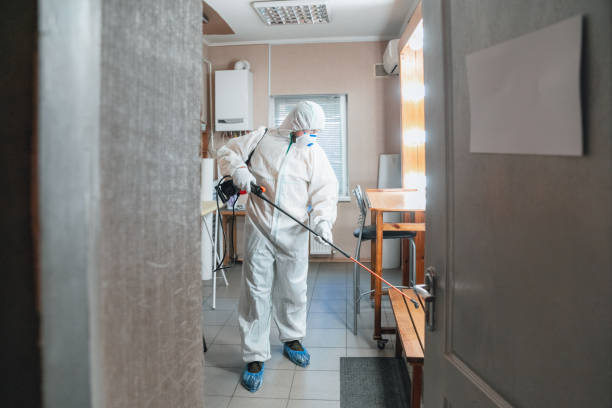 Best Emergency Mold Remediation  in Federal Heights, CO
