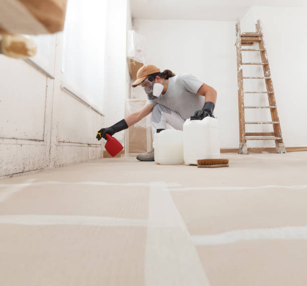 Best Residential Mold Inspection & Testing  in Federal Heights, CO